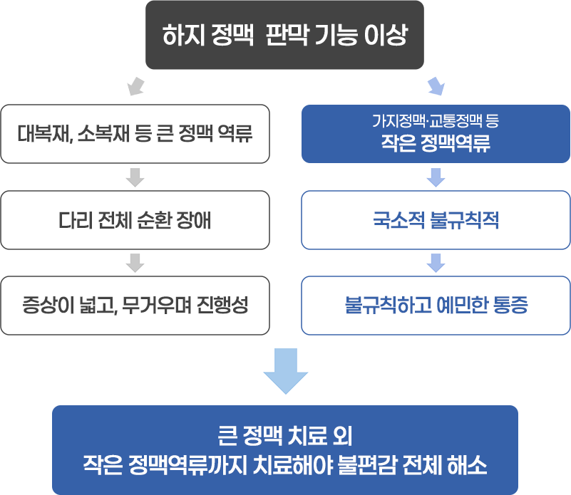 큰 정맥 치료 외 작은 정맥역류까지 치료해야 불편감 전체 해소
